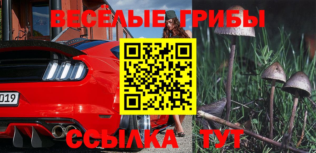 Галлюциногенные грибы Psilocybine cubensis Воронеж